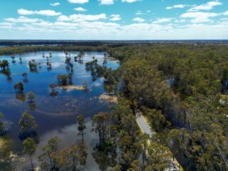 Aerial view of the flooded forest in Deniliquin town