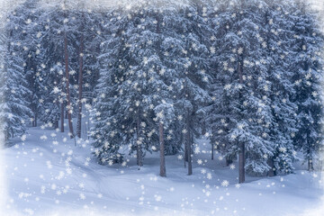 Christmas and New Year background with snowy fir trees and heavy snowfall. Magic holiday background, Christmas greetings concept. High quality photo