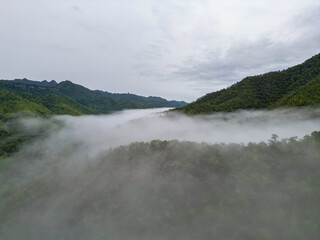 Aerial top view of forest trees with fog mist and green mountain hill at sunset. Nature landscape background, Thailand.