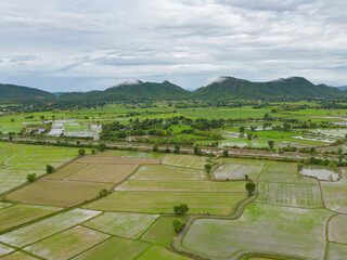 Aerial top view of paddy rice terraces with water reflection, green agricultural fields in countryside, mountain hills valley, Pabongpieng, Chiang Mai, Thailand. Nature landscape. Crops harvest.