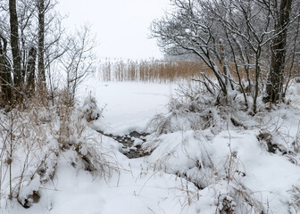 gray foggy winter landscape, falling snow blurred background, fragments of trees