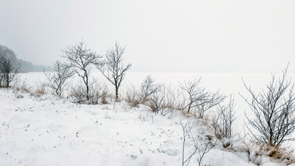 gray foggy winter landscape, falling snow blurred background, fragments of trees