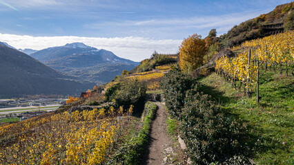 Monte d'Orge, Sion