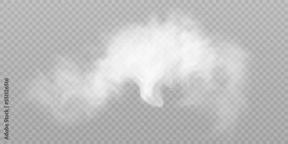 Poster Translucent smoke isolated on a transparent background. Steam effect special effect. Vector texture of steam, fog, cloud, smoke.
