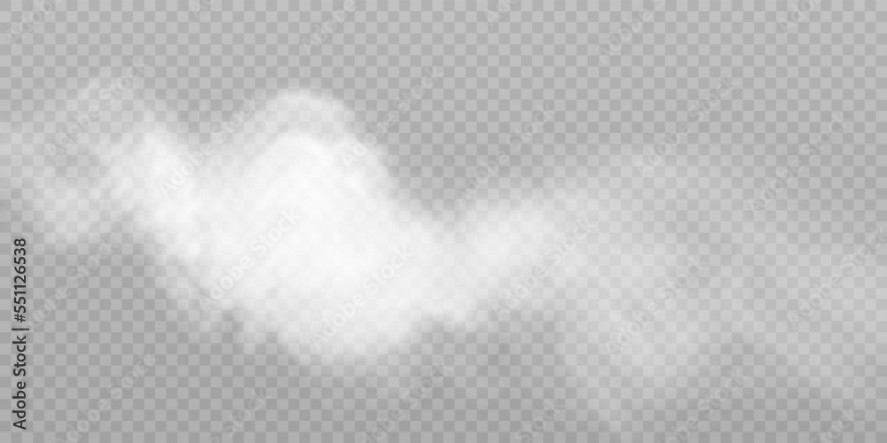 Poster Translucent smoke isolated on a transparent background. Steam effect special effect. Vector texture of steam, fog, cloud, smoke.