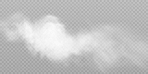 Translucent smoke isolated on a transparent background. Steam effect special effect. Vector texture of steam, fog, cloud, smoke.