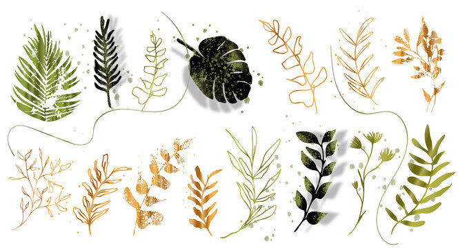 Big hand drawn colorful gold plant set - universally usable. Botanical, chic and trendy plants. Hand drawn lines, elegant leaves for your own design. Flower branch and minimalistic modern plants. - Powered by Adobe