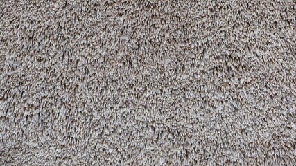 REET ALS HINTERGRUND