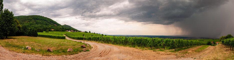 Fototapeta na wymiar Avancée de l'orage sur la plaine d'Alsace, vue depuis le vignoble, CEA, Alsace, Grand Est, France