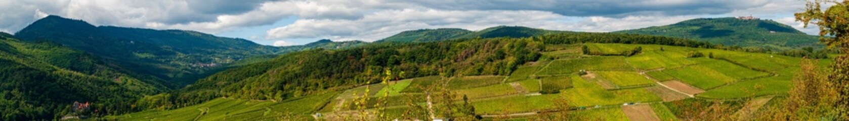 Fototapeta premium Thannenkirch, Bergheim, Ribeauvillé et le Reichenberg, château Haut-Kœnigsbourg, CEA, Alsace, Grand Est, France