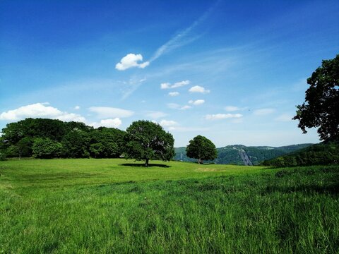 Landscape of green fields and trees in Lovos countryside, Czech republic with blue sky