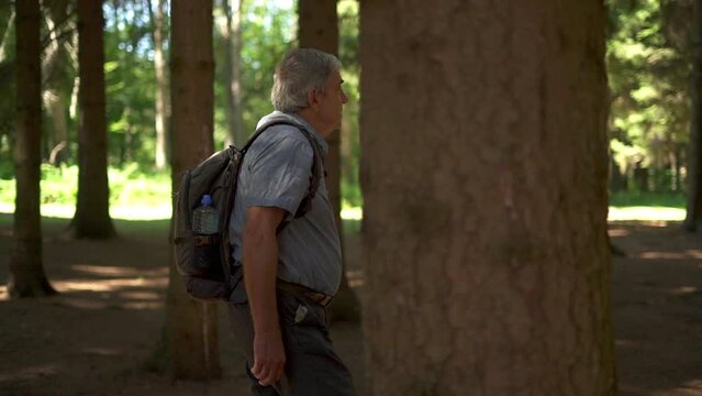 Senior man with backpack walking along rural road into the forest. Active lifestyle.
