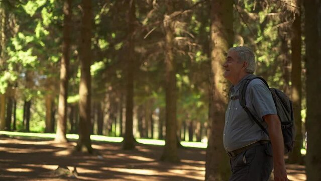 Senior man with backpack enjoying walk along rural road into the forest. Active lifestyle.