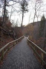 Harz-Wald-Wanderung-Natur-Herbst-Winter-Waldwege-Berge-Bad Harzburg