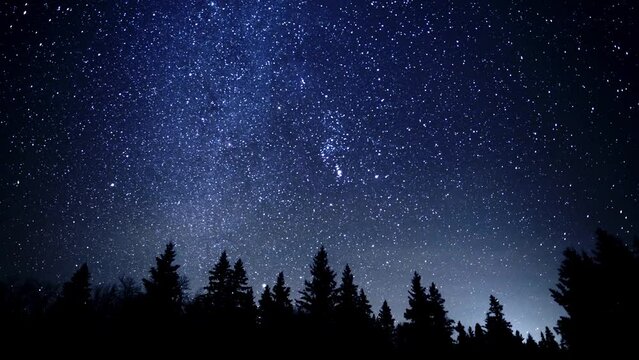 Time lapse of the Geminid meteor shower with more than 20 meteors and includes the Milky Way and Perseus star cluster. The foreground is a silhouettes pine and spruce forest.
