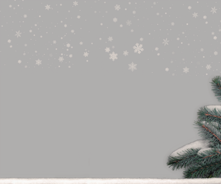 Blautannenzweige Schneebedeckt, Schneefall, Schneedecke Freiraum Transparent