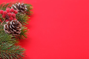 Christmas tree branches with cones on a red background