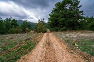 Fototapeta na wymiar Rural road in autumn mountain and colorful trees on slopes.