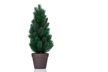 beautiful Christmas tree in a pot on a white background