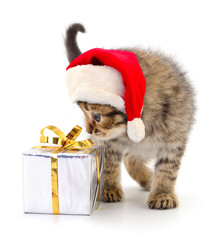 Kitten in Santa Claus Christmas hat.