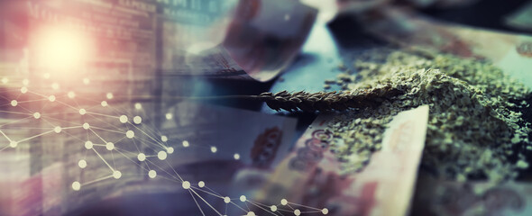 The concept of the cost of grain. 5000 ruble banknotes around a handful of ground grain. World...
