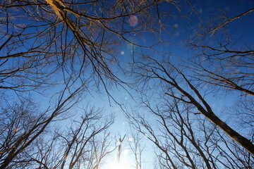 Scioto Grove Metro Park in Autumn, Grove City, Ohio