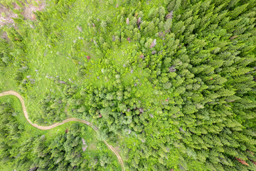 Drone view of green forest  © Brandon Mauth