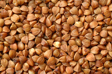 Raw uncooked buckwheat texture background, buckwheat macro shot