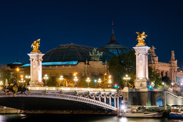 Fototapeta na wymiar Pont Alexandre III bridge at night in Paris. France
