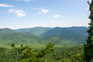 Naklejka premium Shenandoah Wilderness