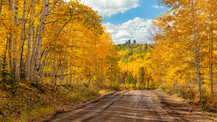 Autumn colors in the Colorado Rocky Mountains - near Crested Butte on scenic Gunnison County Road 12 through the Kebler Pass