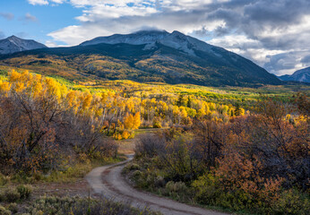 Golden Sunset Autumn colors at Kebler Pass in the Colorado Rocky Mountains - near Crested Butte on scenic Gunnison County Road 12  - Beckwith 