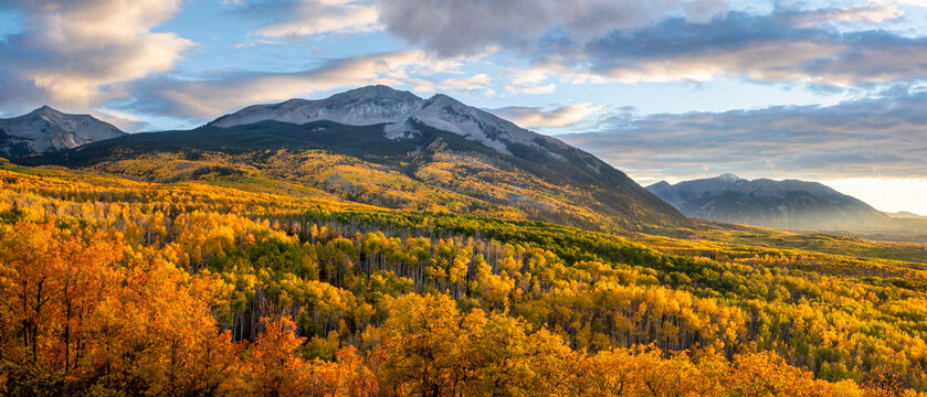 Golden Sunset Autumn colors at Kebler Pass in the Colorado Rocky Mountains - near Crested Butte on scenic Gunnison County Road 12  - Beckwith 