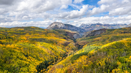 Fototapeta premium Autumn colors in the Colorado Rocky Mountains on scenic Gunnison County Road 12 through the Kebler Pass - view towards Marcellina Mountain
