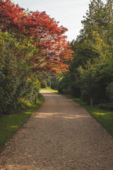 path in the park