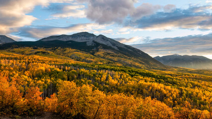 Fototapeta premium Golden Sunset Autumn colors at Kebler Pass in the Colorado Rocky Mountains - near Crested Butte on scenic Gunnison County Road 12 - Beckwith 
