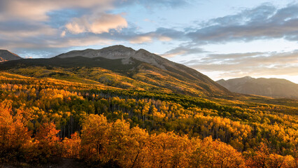 Golden Sunset Autumn colors at Kebler Pass in the Colorado Rocky Mountains - near Crested Butte on scenic Gunnison County Road 12  - Beckwith 
