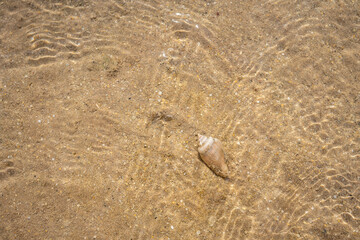 sandy bottom of the red sea at low tide with ripples from the waves