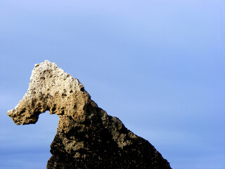 Stone horse