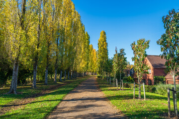 Scenic view of Grand Union canal in Milton Keynes. England