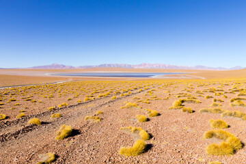 Bolivian lagoon view,Bolivia
