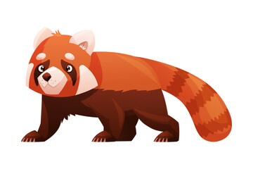 Adorable Red Panda as Small Fluffy Mammal with Dense Reddish-brown Fur and Ringed Tail Walking Vector Illustration