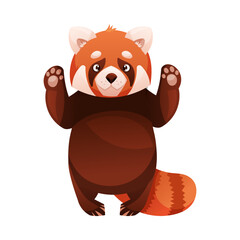 Obraz na płótnie Canvas Adorable Red Panda as Small Fluffy Mammal with Dense Reddish-brown Fur and Ringed Tail Standing on Hind Legs Vector Illustration