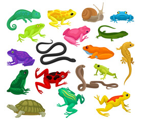 Obraz na płótnie Canvas Tropical Colorful Amphibian with Reptile, Frogs, Lizards and Toads Big Vector Set