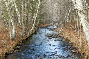 Fototapeta premium Blue river running through the middle through the forest in winter