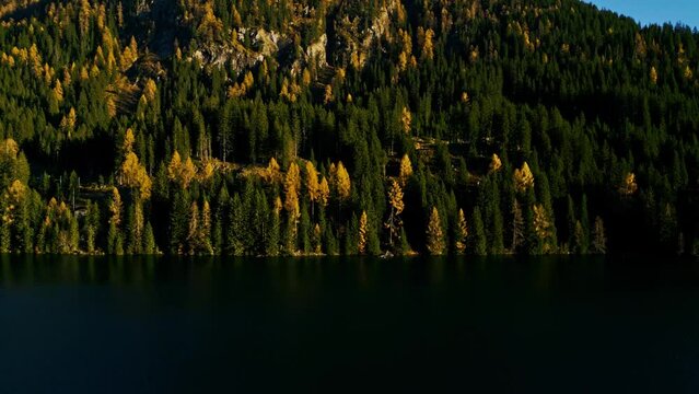 Flight over Davos mountain in autumn with beautiful colored forest and wild river