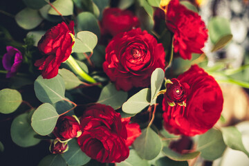 Blooming fresh bouquet of several red roses and green leaves. Image for your creativity, design or illustrations.