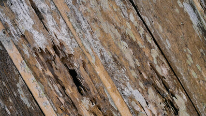 Texture of weathered and perforated wooden planks