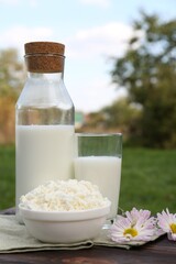 Tasty fresh milk and cottage cheese on wooden table outdoors