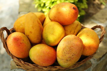 Delicious fresh ripe mangos in basket outdoors